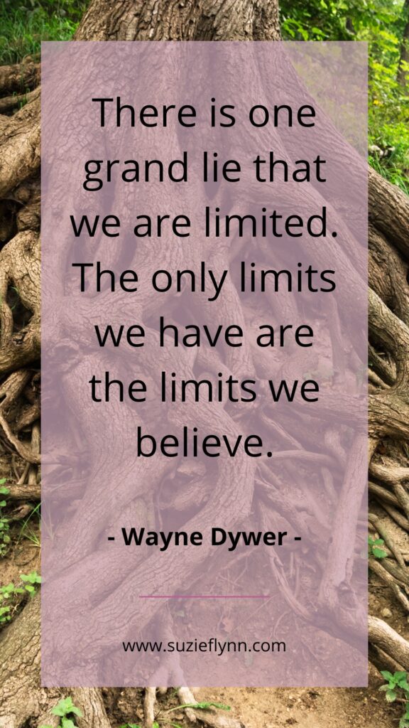 There is one grand lie that we are limited. The only limits we have are the limits we believe