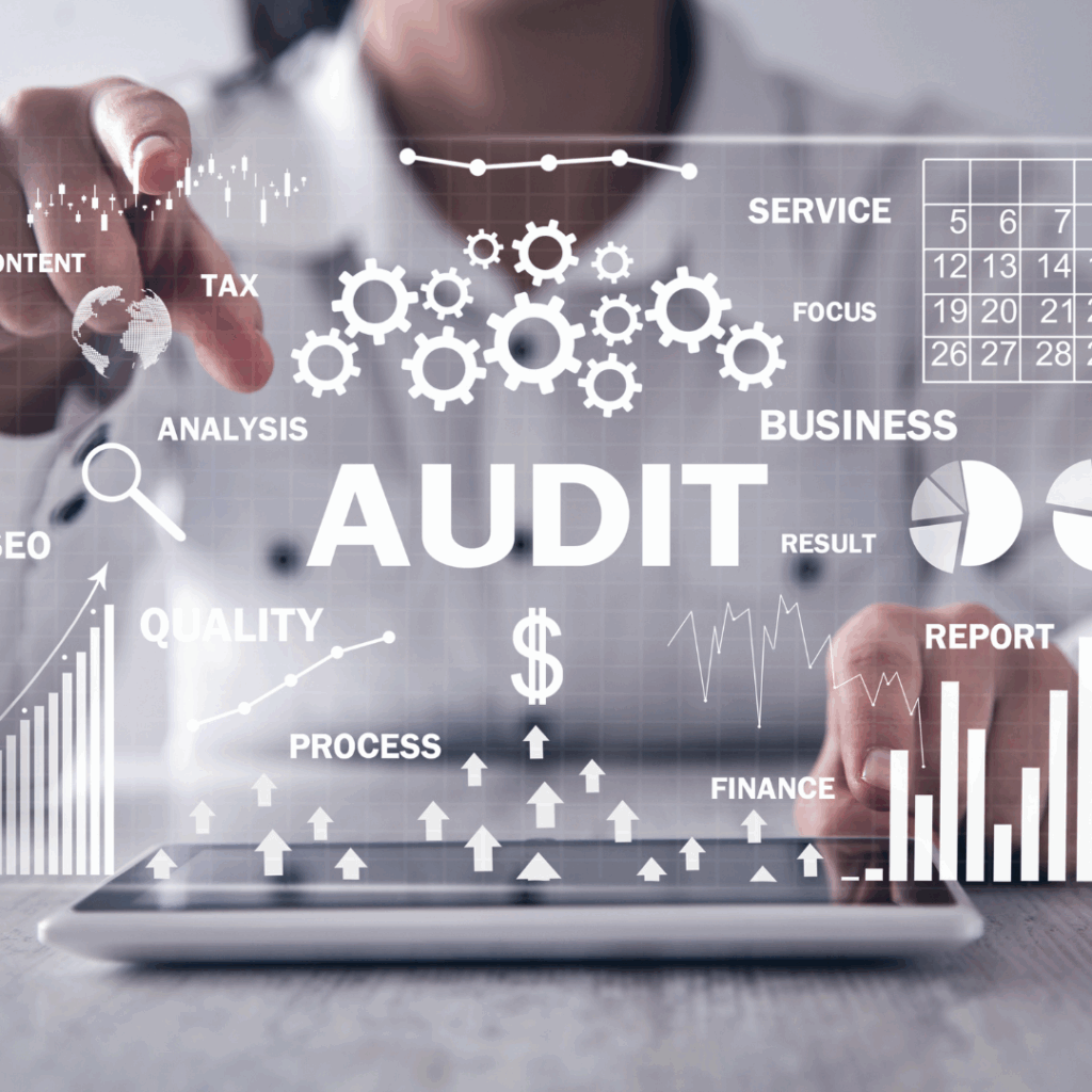 Image of someone doing an audit