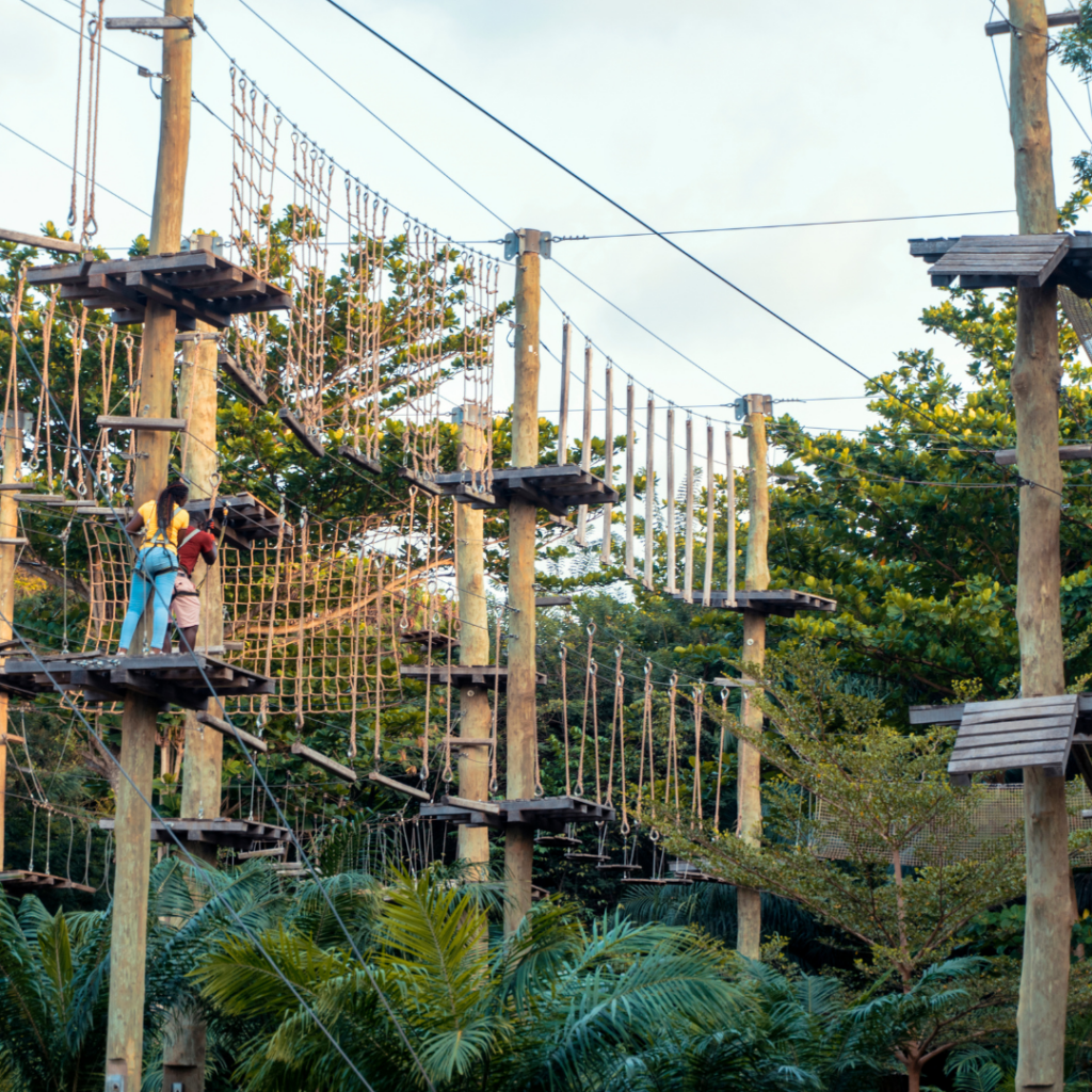 Image of an obstacle assault course